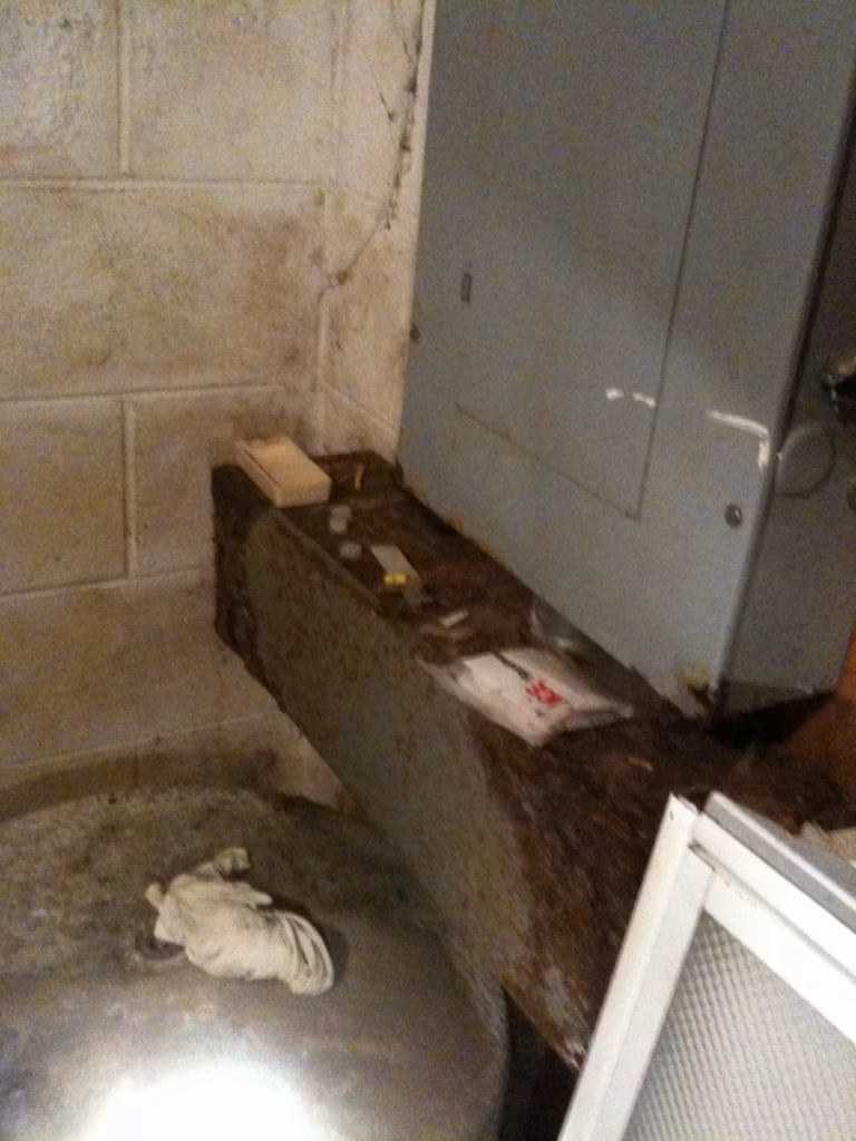 Photo of a wet foundation wall and electrical panel in Powell TN with lots of mold growth.