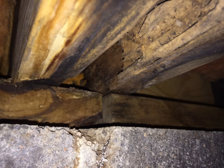 Volunteer Mold and indoor Air Quality Services, Knoxville took this photo of decaying floor joists caused by outside garden soils piled up too high.