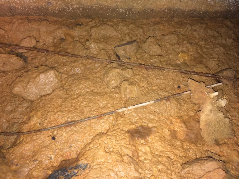 Volunteer Mold Knoxville photo of saturated soils within this 5 year old Tellico Village Home.