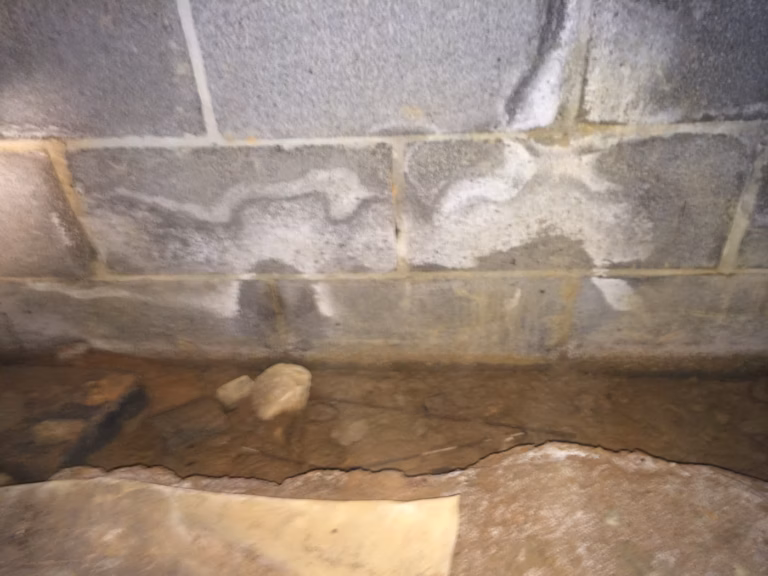 Standing water inside of a crawl space foundation trench. Water damaged the foundation footer and had frogs living in it.