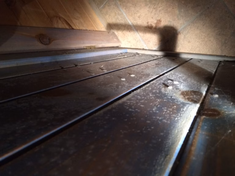 Photo of a whole house ventilation fan reveals a water leak and mold growth. This condition caused a child's severe prolonged illness.