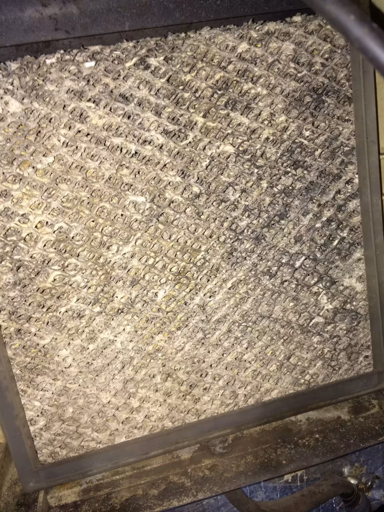 Photo is of a contaminated dehumidifier media grill in this Maryville, TN home.