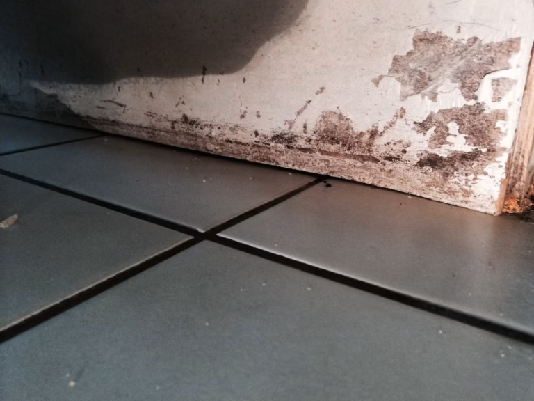 Toxic mold growth found by a mom when she noticed her leaking dishwasher.