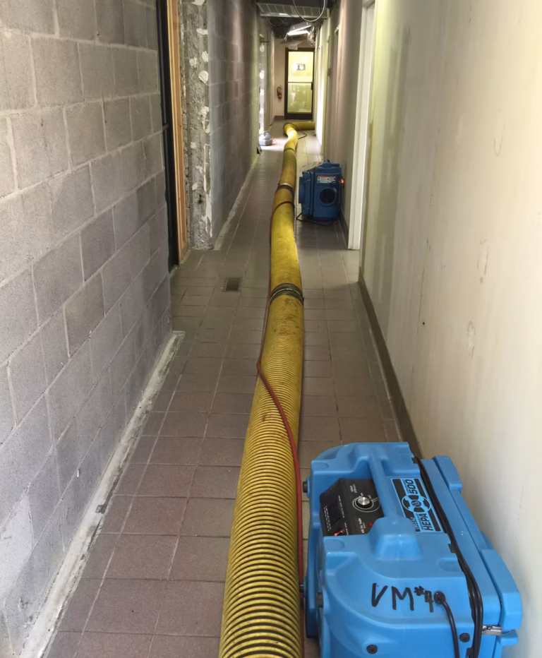 Volunteer Mold of Knoxville image shows a remediation in a commercial building in process.