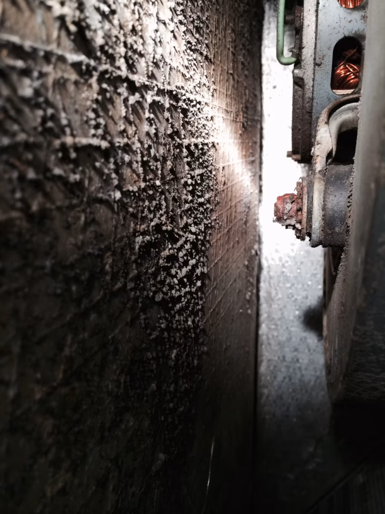 Volunteer Mold image of the interior of a furnace with mold growths on interior unit walls.