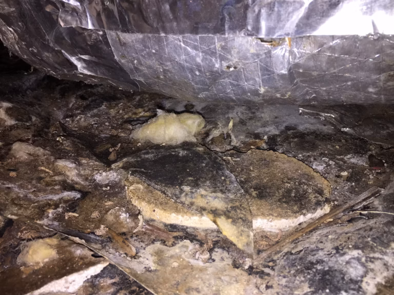 Volunteer Mold image of wood and paper debris left in a damp crawlspace fosters the growth of crawl space mold.