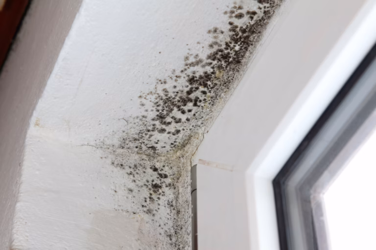Photo from Volunteer Mold and Indoor Air Quality show black mold growth around exterior window frame.